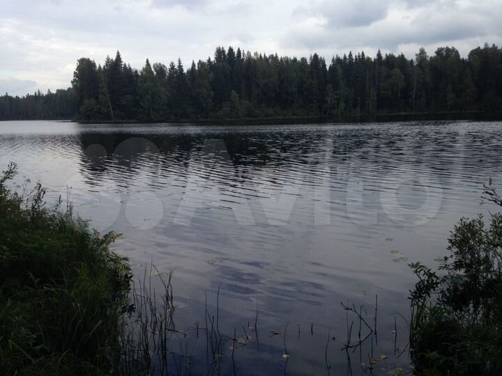 Участок 60 сот. (ИЖС)