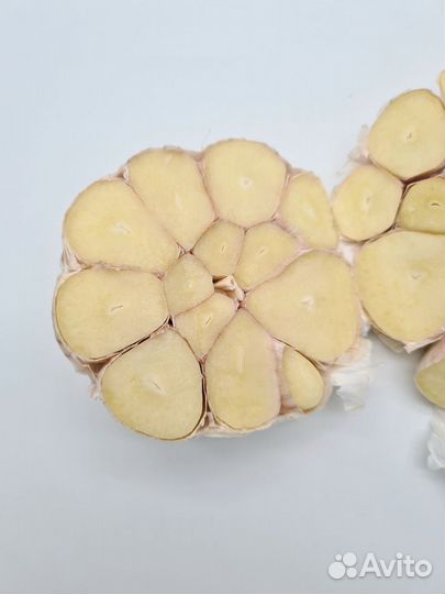 Чеснок яровой оптом