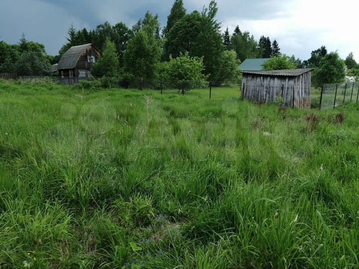 Участок 10 сот. (ИЖС)