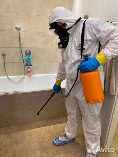Дезинфекция Уничтожение клопов травить тараканов
