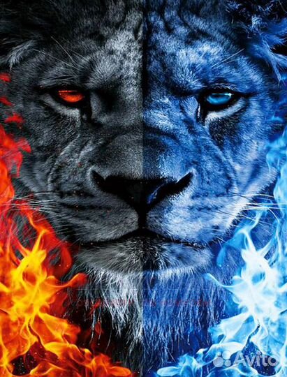 Алмазная мозаика 40x50 Холодная и горячая сторона