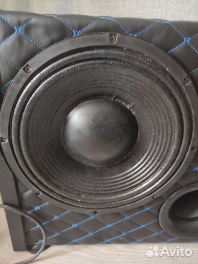 Сабвуфер 12 дюймов evm B121A19