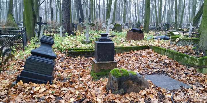 Генеалогия / Родословная / Поиск предков