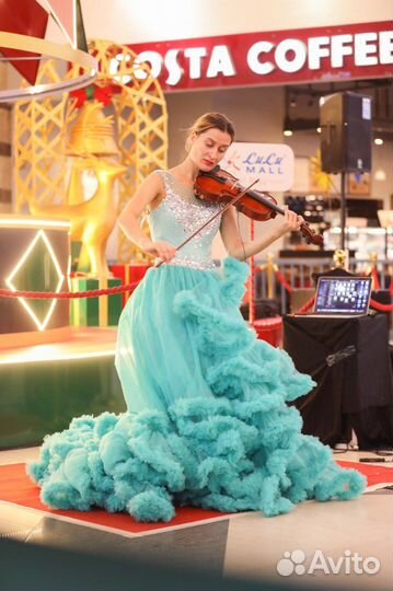 Скрипка на праздник