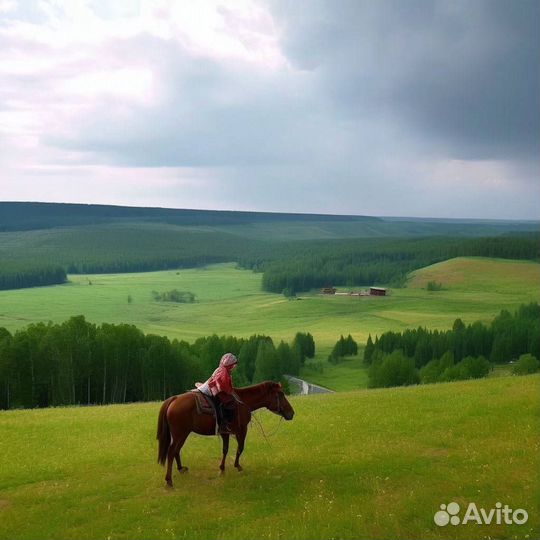Готовый бизнес на Wildberries и Ozon (не пвз)
