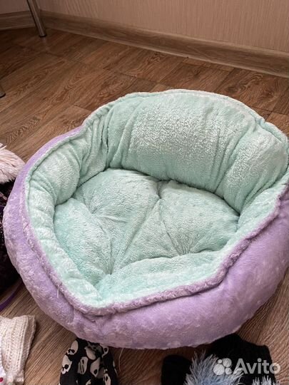 Переноска, лежанка и одежда для собаки до 2 кг