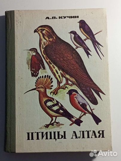 Кучин А.П. Птицы Алтая