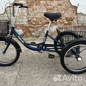 Велосипед трехколесный для взрослых с мотор-колесом Horza Stels Energy