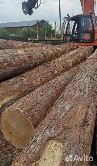 Лес Кругляк Сона Пихта с доставкой