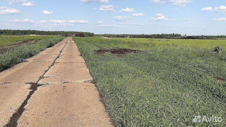 Чернозем