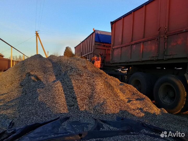 Доставка шелухи, лузги подсолнечника