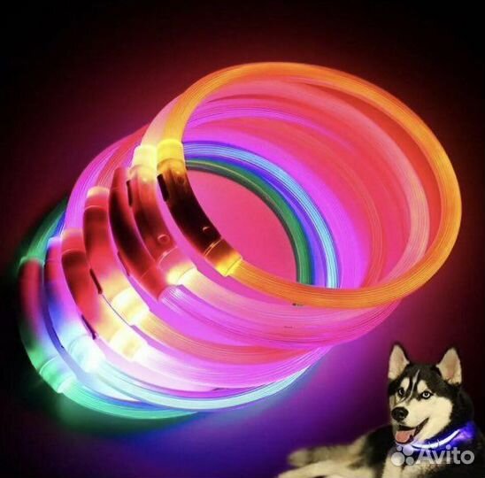 Ошейник для собак светящийся, 3 режима, до 50 см