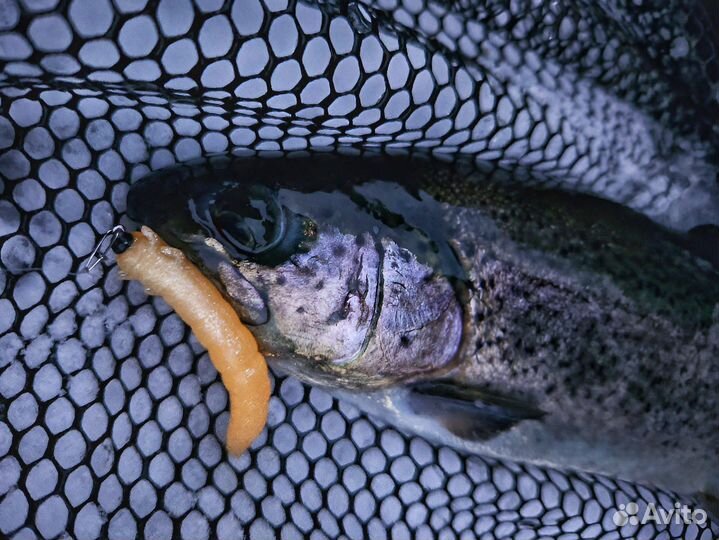 Производство рыболовных приманок и ароматизаторов