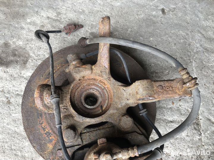 Кулак передний левый nissan almera N16