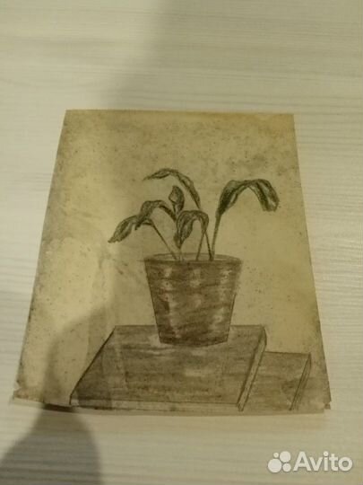 Рисунки 1948 года детские