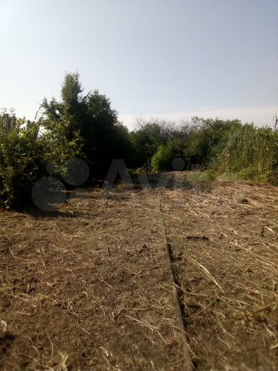 Участок 6,5 сот. (СНТ, ДНП)
