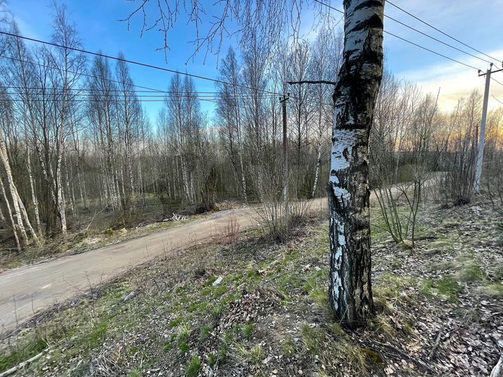 Участок 8 сот. (ИЖС)