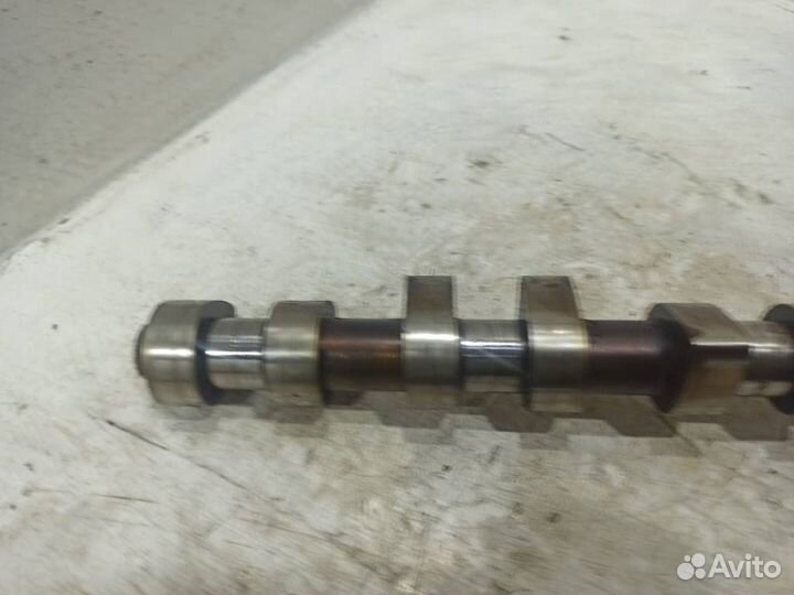 Распредвал впускной Ауди