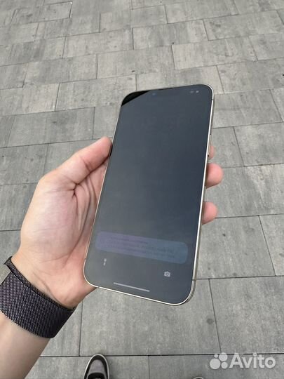 iPhone 13 Pro Max, 256 ГБ