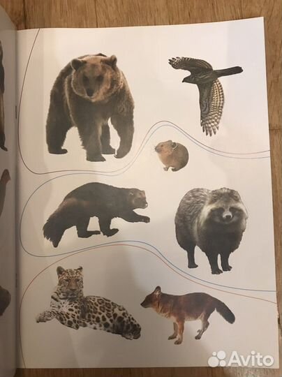 Книжки для малышей