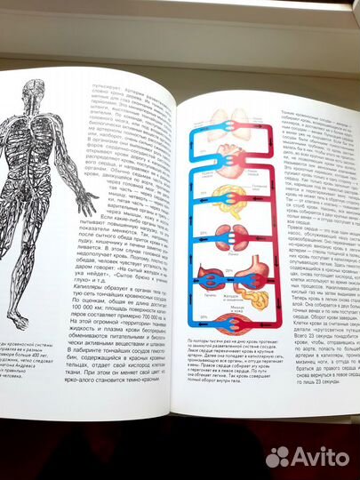 Энциклопедия для детей