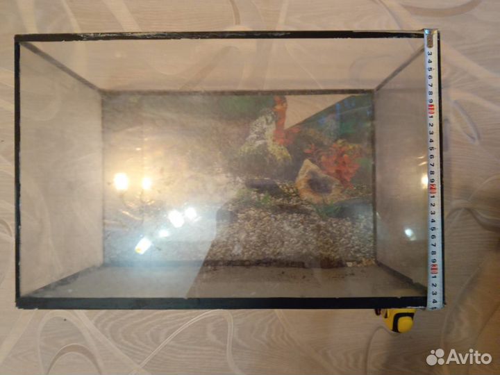 Аквариум с грунтом