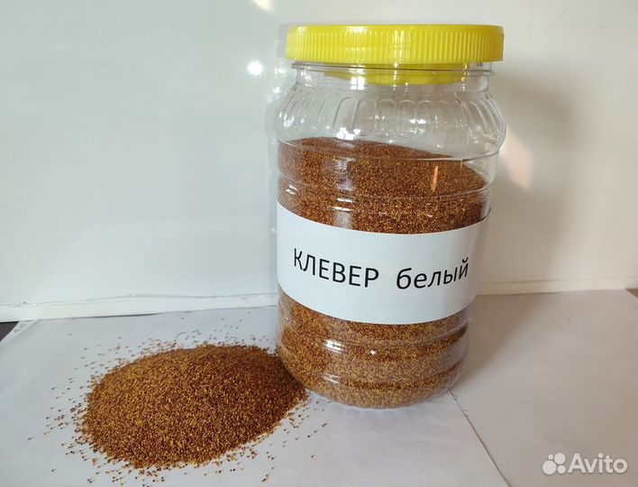 Семена клевера белого