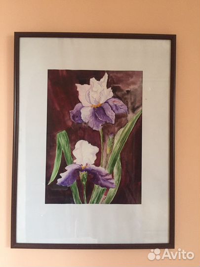 Картина акварель Ирисы