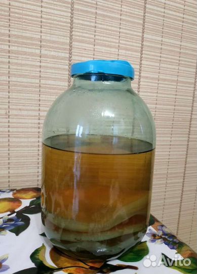 Чайный гриб