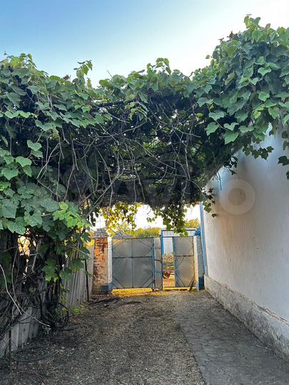 Дом 45 м² на участке 24 сот.