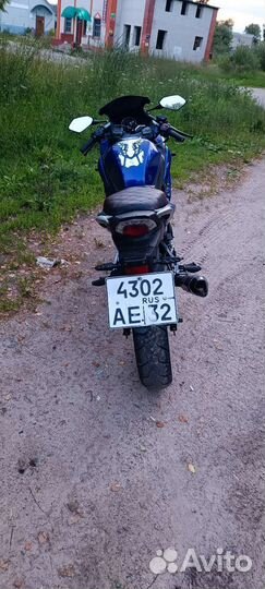 Racer skyway 250