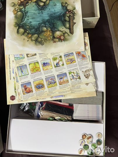 Настольная игра Эволюция