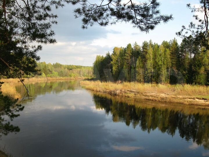 Участок 10 сот. (ИЖС)