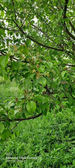 Дом 86,7 м² на участке 50 сот.