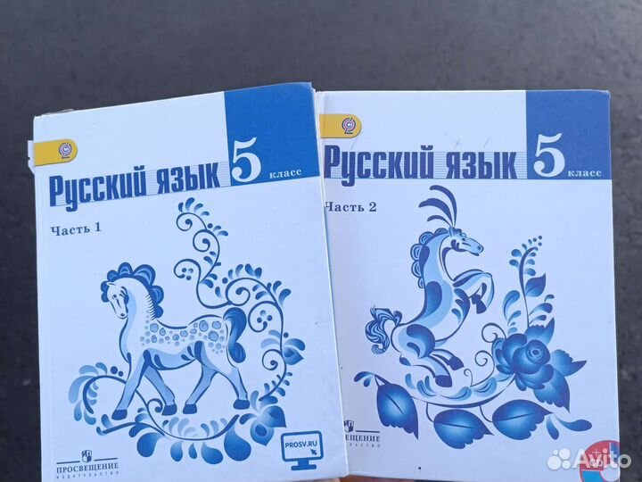 Русский язык 5 класс Ладыженская