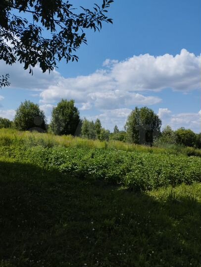 Участок 15 сот. (ИЖС)