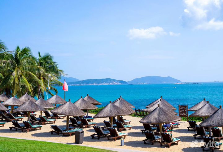 Коммерческие услуги от китайца