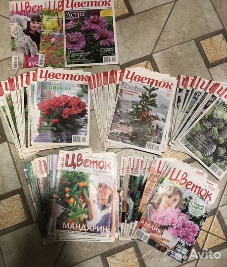 Журнал Цветок толока