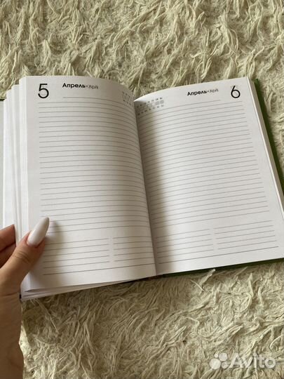 Ежедневник недатированный