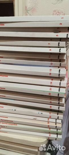 Книги как устроено тело человека