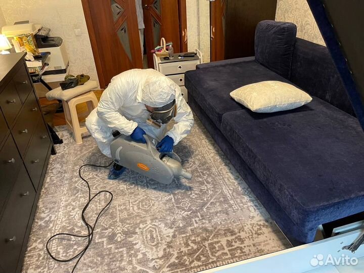 Дезинфекция. Уничтожение клопов, тараканов, блох