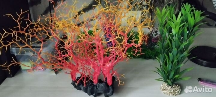 Аквариум 60 литров