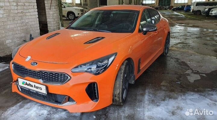 Kia Stinger 2.0 AT, 2019, 56 000 км