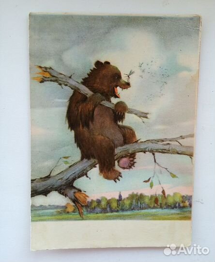 Открытки Мишки и др. Звери. СССР