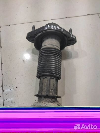 Амортизатор (задний, левый) (Haval F7)