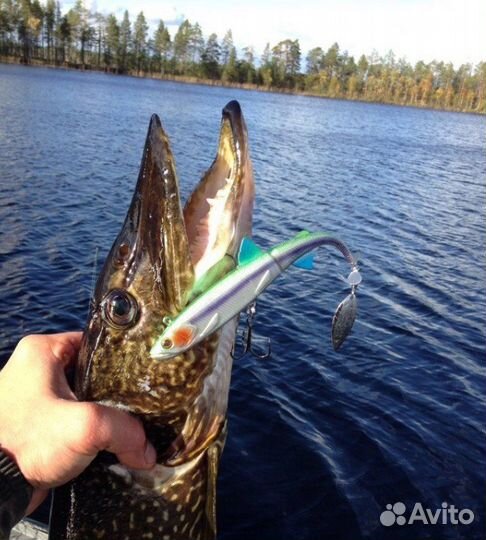 Аренда Прокат Лодка надувная с транцем и Сап борд