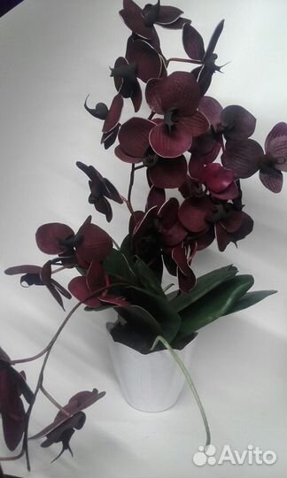 Орхидеи из фоамирана, ручной работы(не живые)