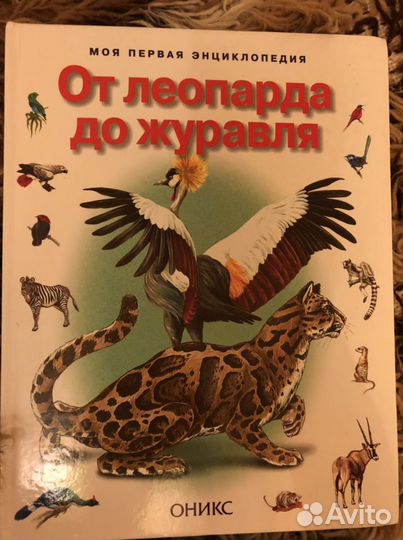 Детская книга / книги моя первая энциклопедия оник