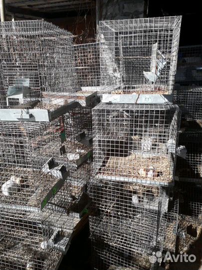 Клетки для грызунов