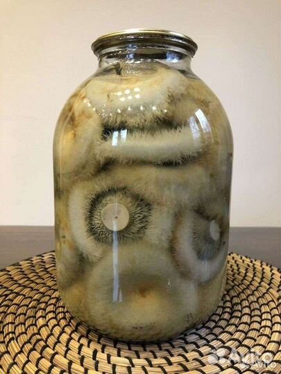 Белые грузди